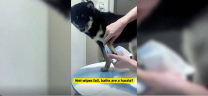 PawWash™ Automatic Pet Foot Cleaner